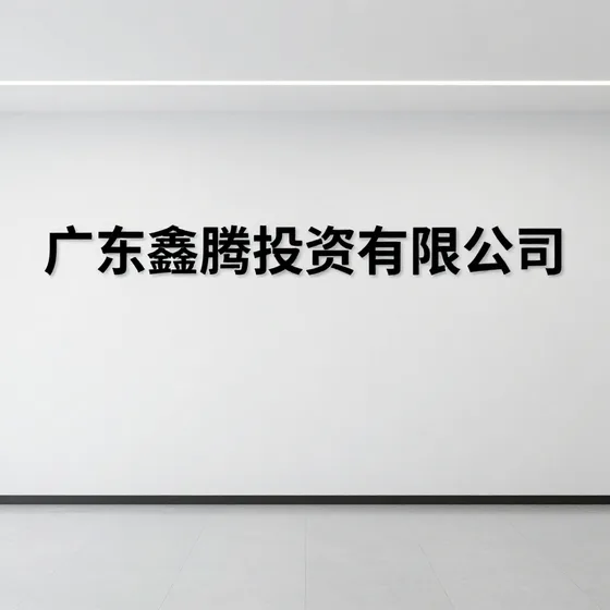 广东鑫腾投资有限公司行业解析